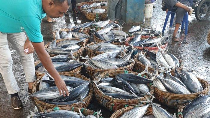 KKP ungkap dukungan bagi peningkatan kualitas dan pasar bagi tuna