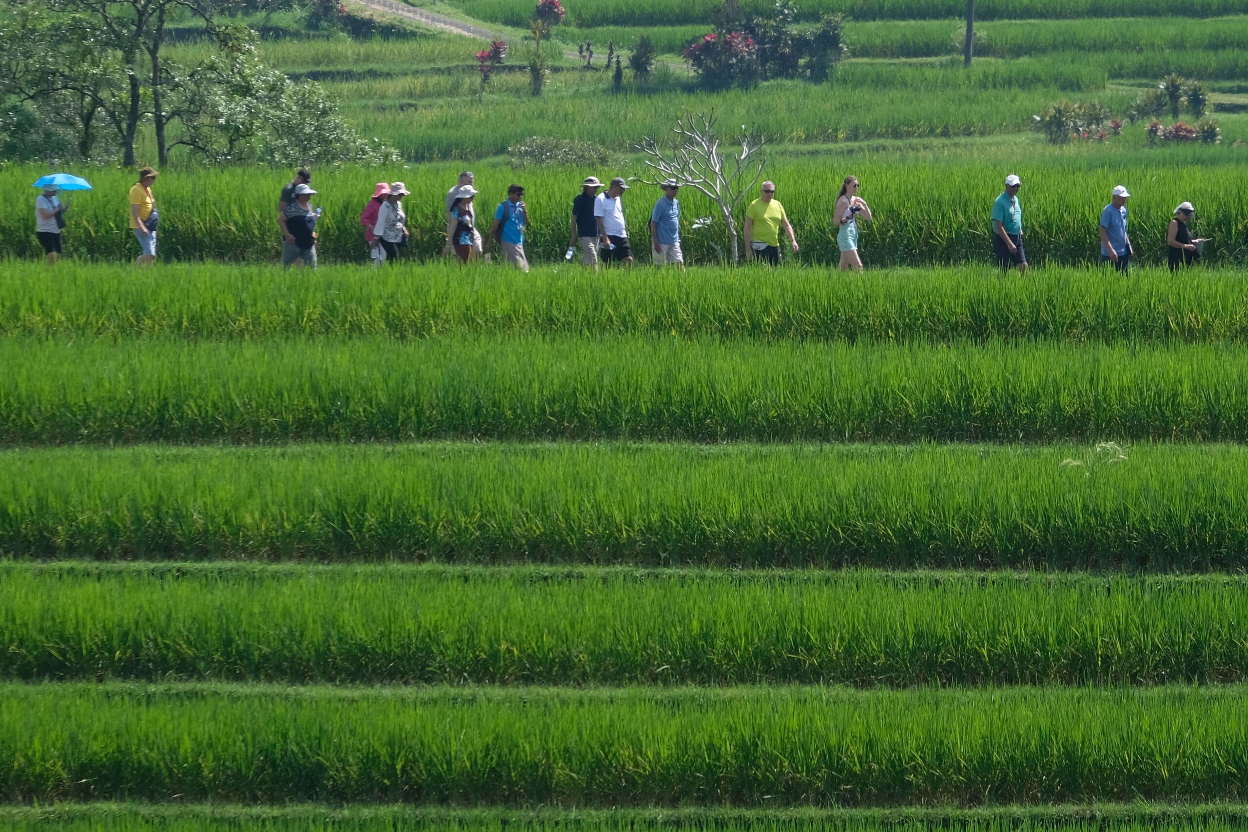 Ini Peluang Investasi Infrastruktur Air di WWF ke-10