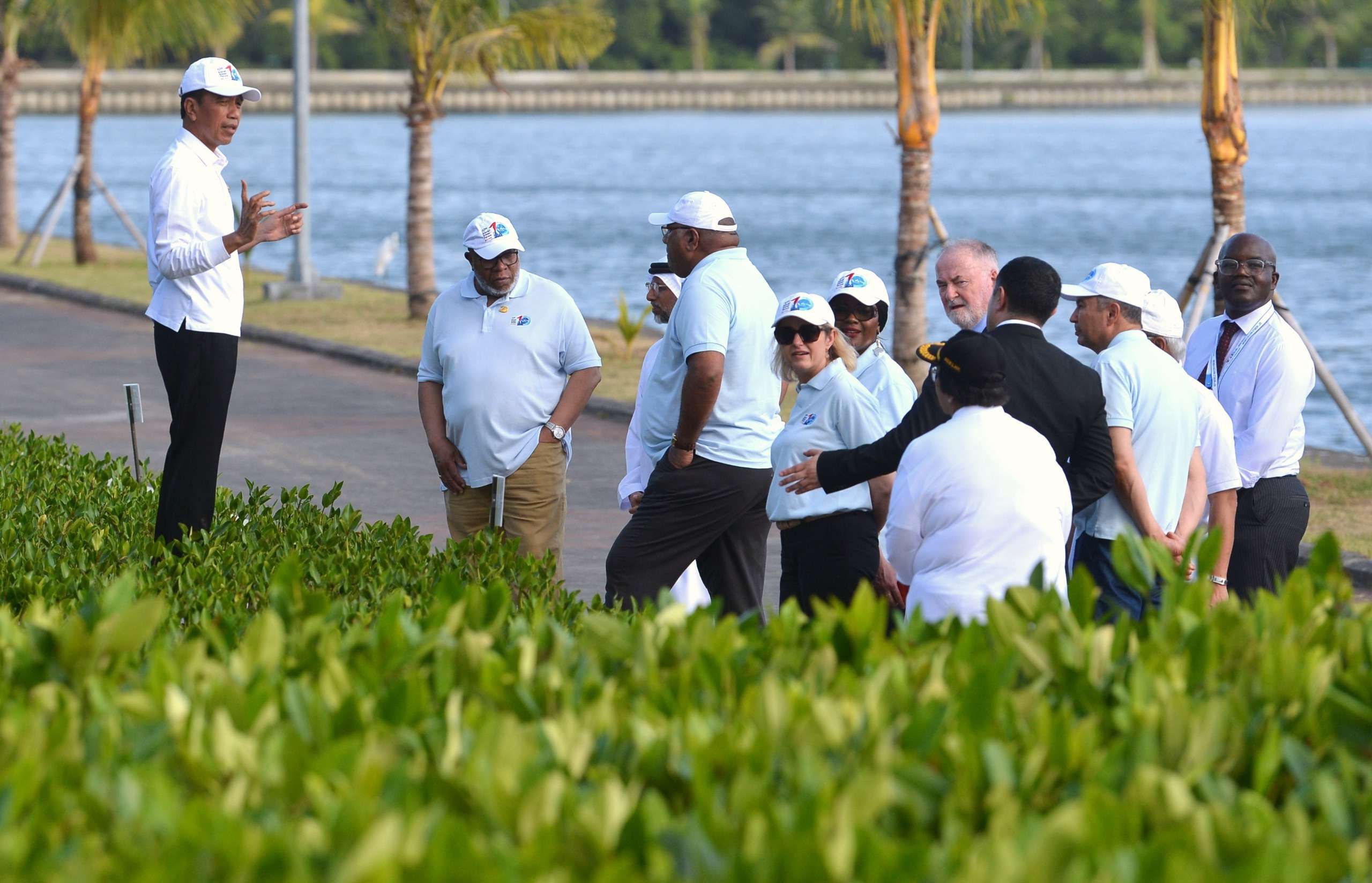 Indonesia-Suriname Kolaborasi Lindungi Pesisir dan Rehabilitasi Mangrove