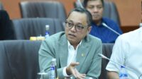 Dinilai Mahal, Deddy Minta Pelita Air Turunkan Harga Tiket