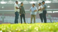 Erick Thohir ingin kualitas rumput GBK seperti di Euro