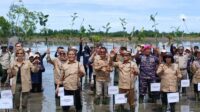 TNI AU-BRGM perkuat ekosistem mangrove cegah abrasi pangkalan pesisir