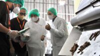 89i0p9nir85m02y Menkop UKM Yakin Hilirisasi Kakao Sumber Ekonomi Baru