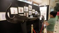 Pengelola luncurkan buku sejarah bangunan Museum Bahari