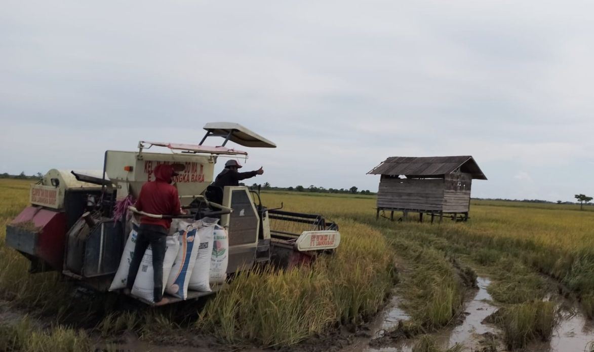 Kabupaten Penajam susun program tingkatkan produksi-kualitas pertanian