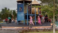Pakar: Sistem Imunitas Bantu Otak Anak Berkembang