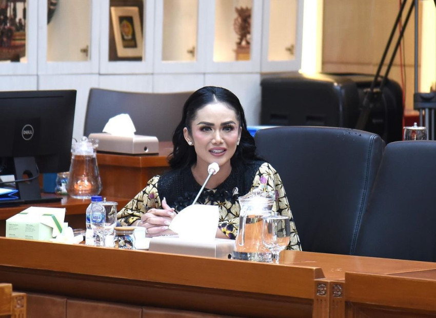 Kemenkes Harus Sosialisasi Komprehensif Wacana Impor Dokter Asing, Komisi IX Siap Dengar Aspirasi