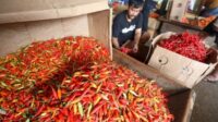 Harga pangan: Cabai di level Rp65.560 per kg dan beras Rp13.560 per kg