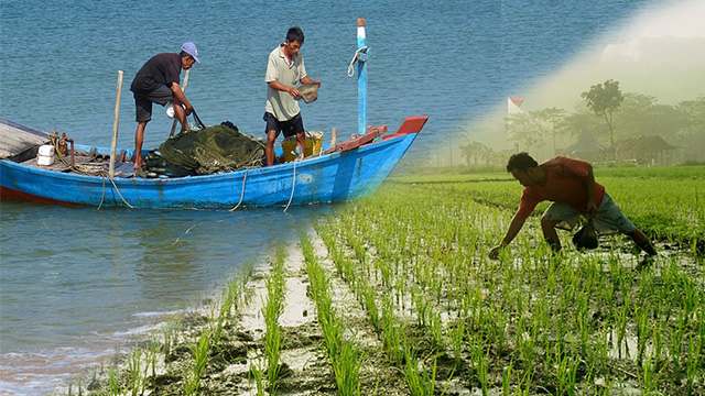 Pertanian, kehutanan dan perikanan sumbang 44,59 persen PDRB Sulbar