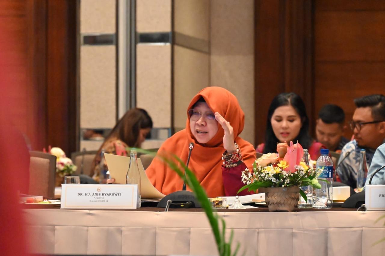 Anis Byarwati Soroti Data Terpadu dan Kualitas SDM UMKM Binaan Himbara dan BPD Bali