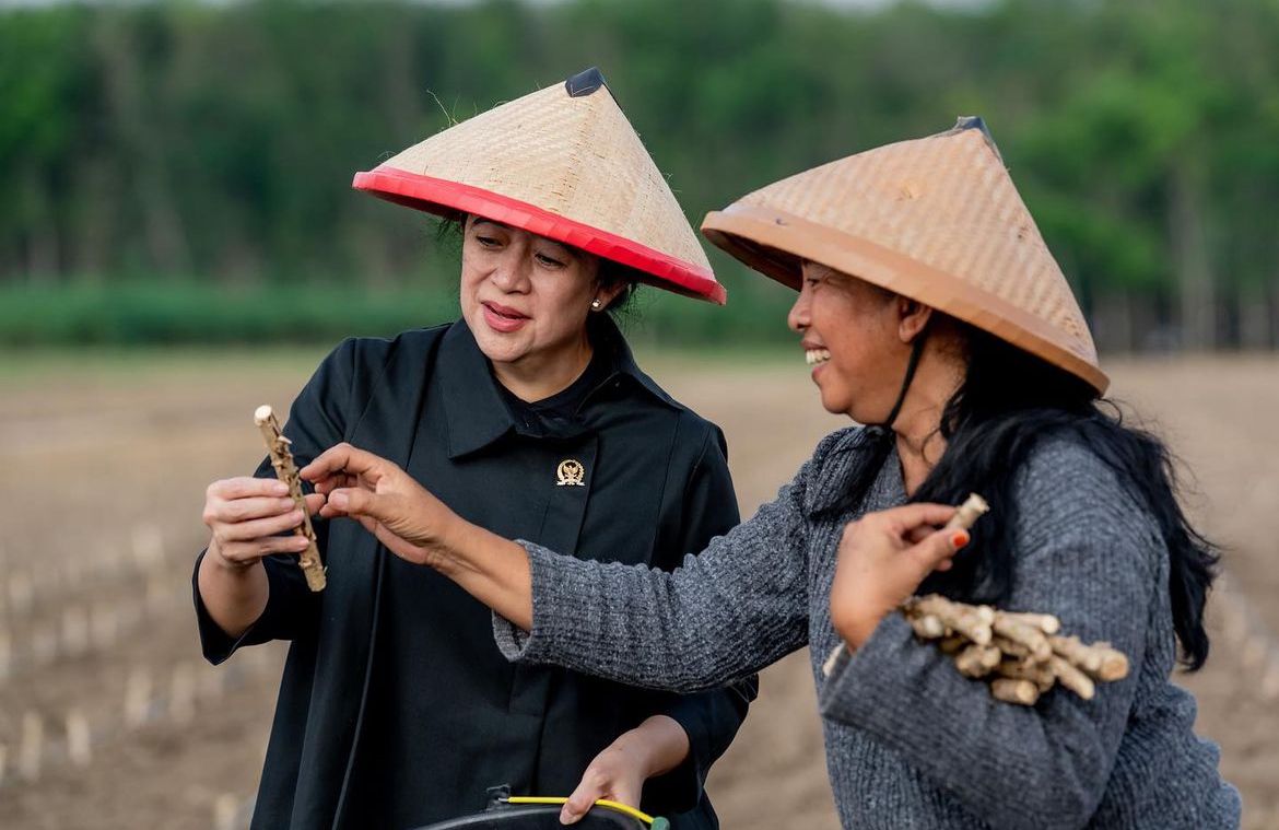 Dukung Pangan Lokal Guna Atasi Diabetes, Puan Sebut Bisa Kurangi Emisi 20 Persen