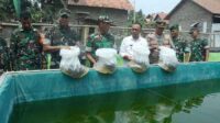 Antisipasi Gempuran Impor Bibit-Benih, Pemerintah Diharapkan Beri Proteksi