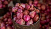 bawang merah Bapanas: Ekspor dan pembangunan ekosistem optimalkan bawang merah