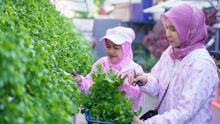 Berawal dari TPS Liar, Kini Jadi Tempat Urban Farming Berkat Peran Ibu-ibu