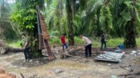Diduga Sarang Narkoba, Areal Perkebunan Sawit di Padang Tualang Langkat Digerebek