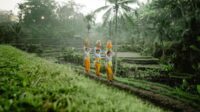 Pemangku pariwisata Bali sepakat hentikan alih fungsi lahan