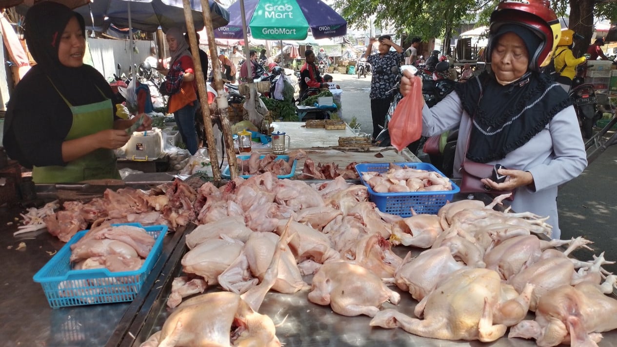 Harga pangan hari ini: Daging ayam ras naik mencapai Rp41.080 per kg