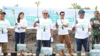 SPMT tanam 30.000 bibit mangrove perkuat ekosistem pesisir Kalteng
