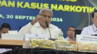 Kepala BNN soroti dampak narkoba pada kekerasan seksual
