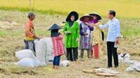 Jokowi serukan hargai kerja keras petani