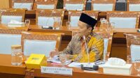 Angka Kematian Ibu & Anak Naik, HNW Minta Pemerintah Ambil Langkah Konkret
