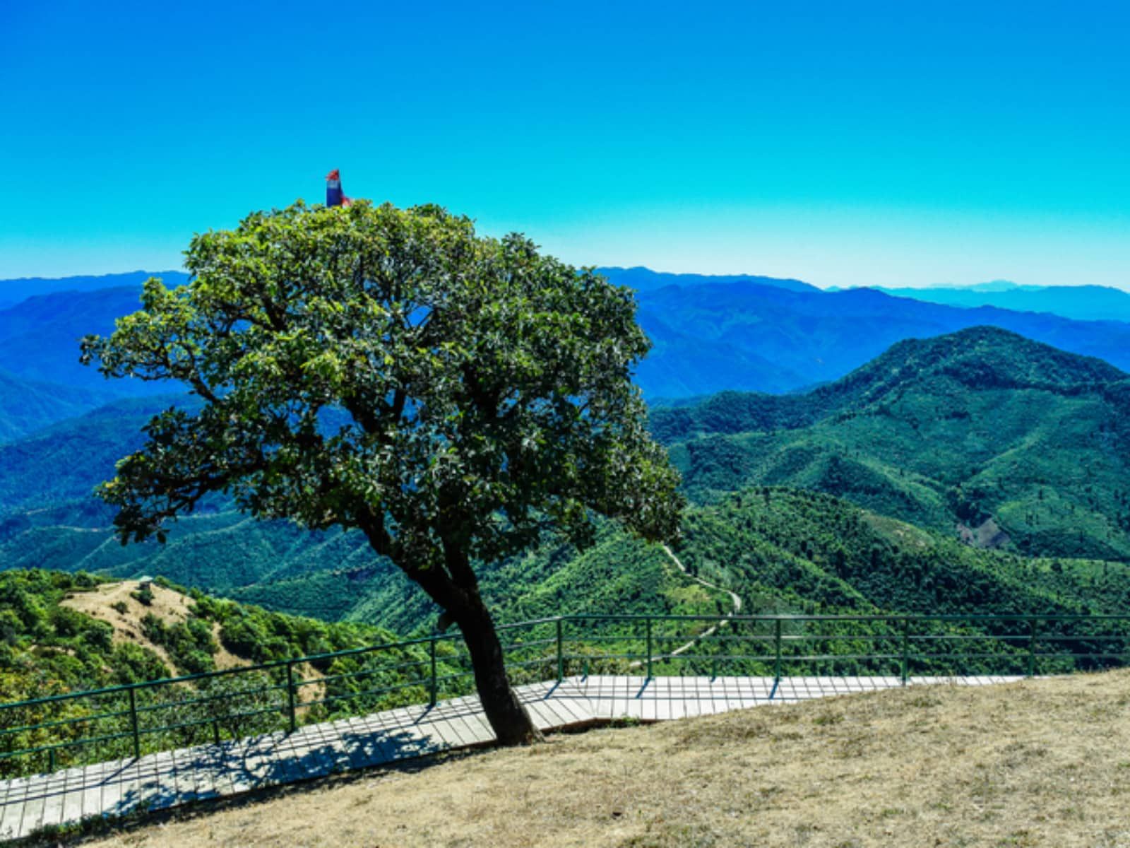 Peringatan Hari Udara Bersih Internasional Setiap 7 September