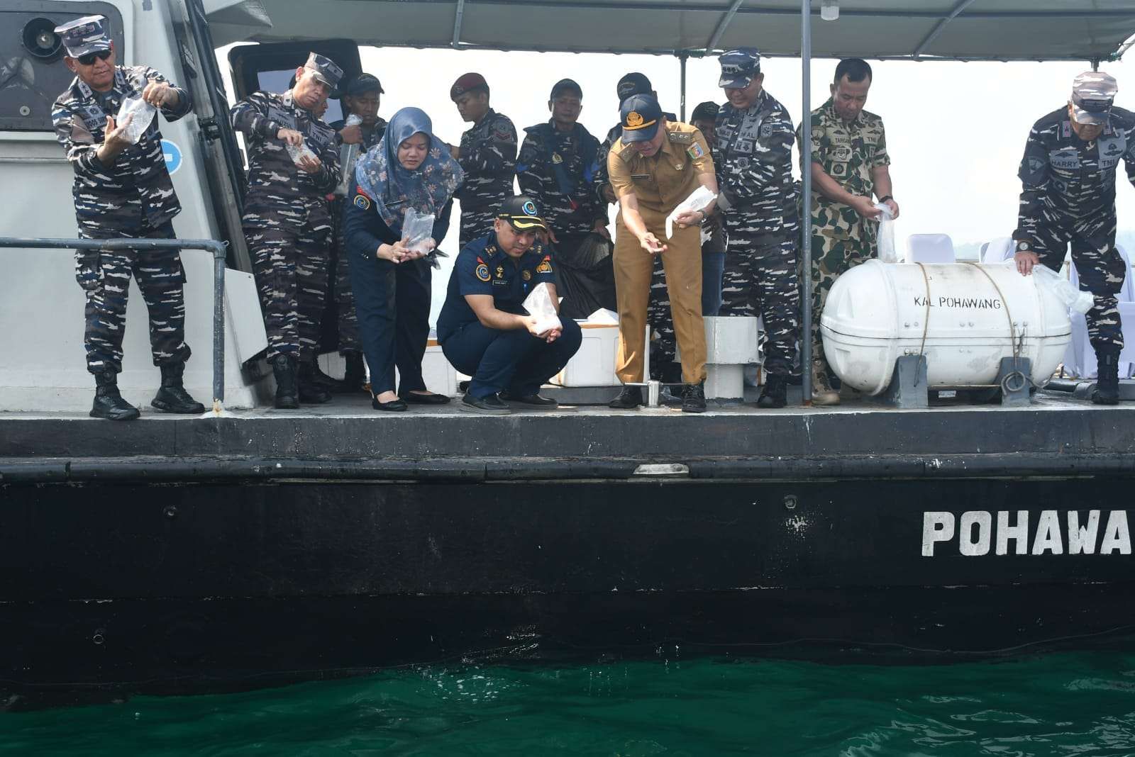 TNI AL Gagalkan Penyelundupan Benih Lobster di Lampung