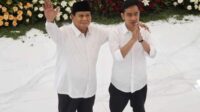 Inilah Analisis CSIS soal Komposisi Kabinet Prabowo-Gibran