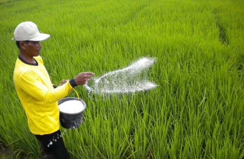 Petani Mupuk Sawah
