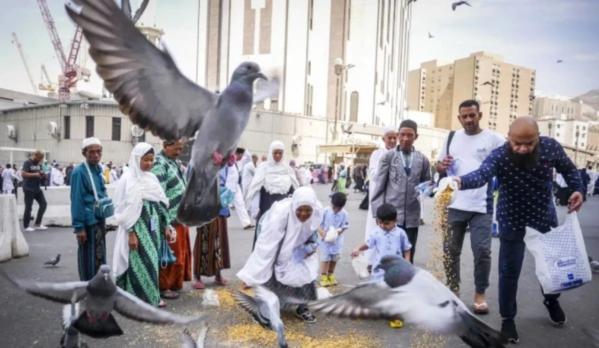 Komisi VIII DPR RI yakini kampung haji di Makkah bakal terwujud
