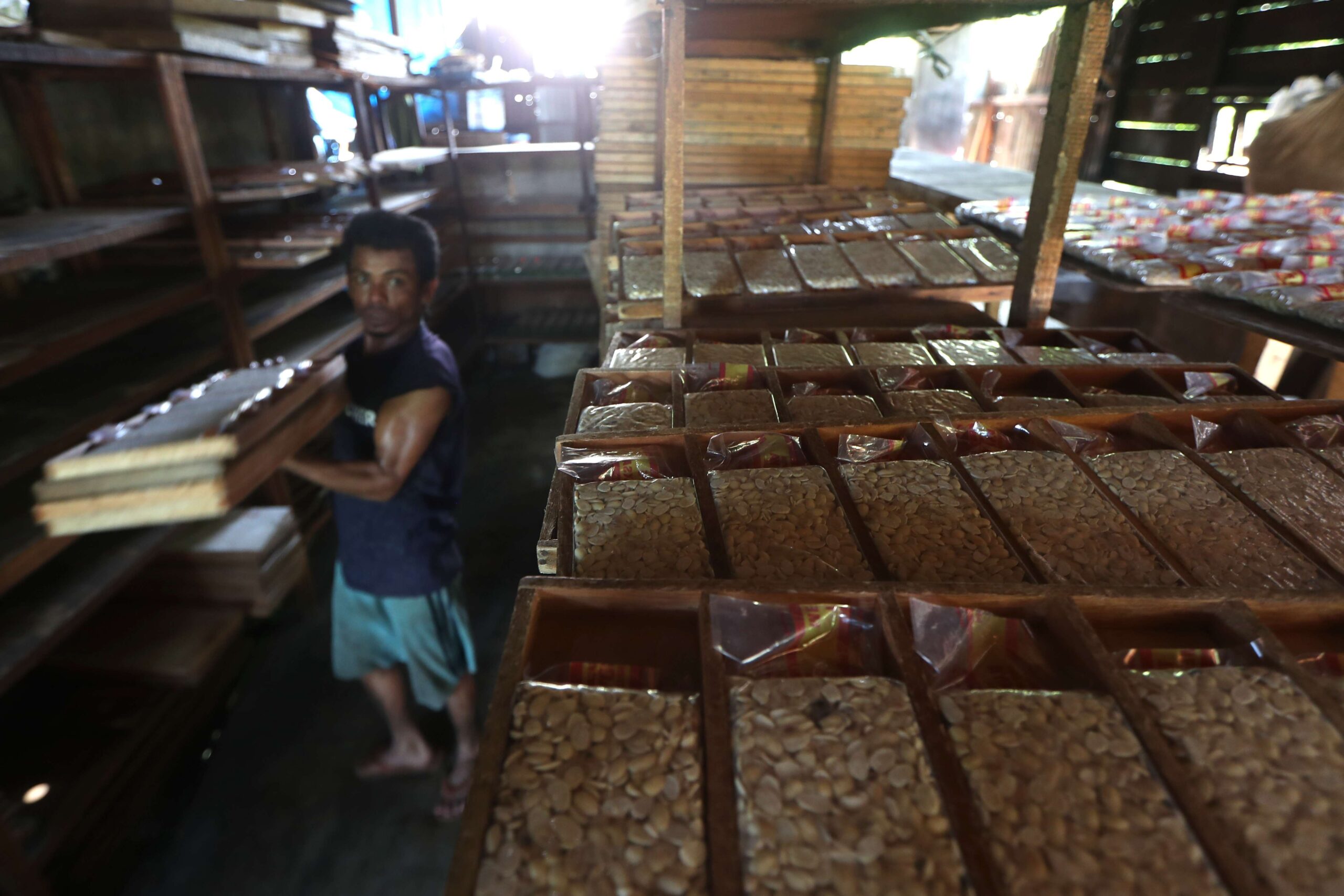 Harga Kedelai Tingkat Produsen Masih di Bawah Acuan