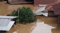 Kondisi banjir di Kabupaten Padanglawas yang terjadi, Sabtu (23/11/2024). Bencana alam banjir dan longsor yang terjadi di Kabupaten Padanglawas menyebabkan 5 orang meninggal dunia