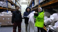 Kementan sidak 13 gudang importir terkait daging domba impor