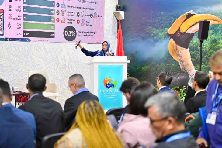 Pertamina tingkatkan kapasitas pembangkit panas bumi