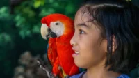 1 juta lebih anak di Filipina bekerja pada 2023