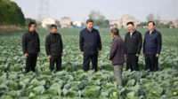 Presiden China Xi Jinping desak percepatan revitalisasi pedesaan