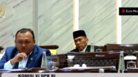 Anggota Komisi XI DPR: LPEI harus dukung UMKM di tengah China yang oversupply