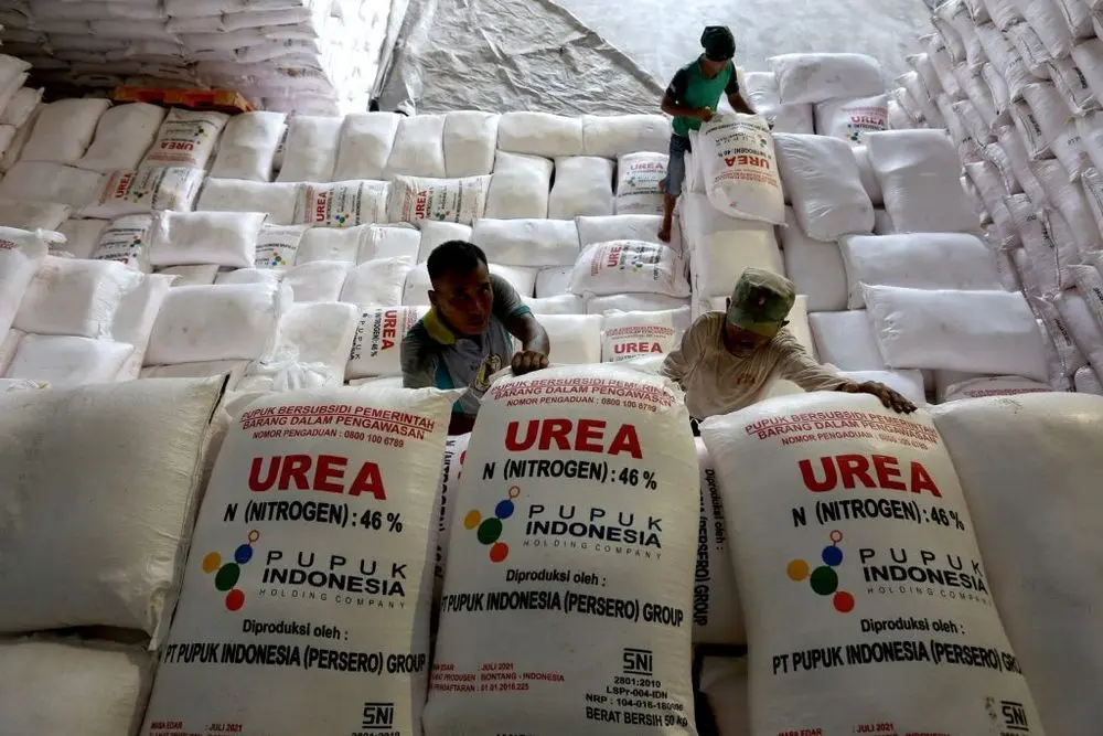 Pupuk Indonesia pastikan kemudah akses untuk petani