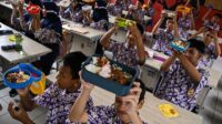 Anggota DPR usul "one day one fish" dalam Makan Bergizi Gratis
