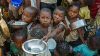 Badan PBB terima dana Rp1,9T untuk atasi pengungsi di Afrika