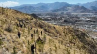 Upaya aforestasi di Lhasa China capai 11.813 hektare pada 2024
