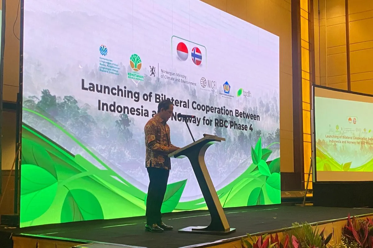 Menteri LH sebut peluang perdagangan karbon bagi dana iklim