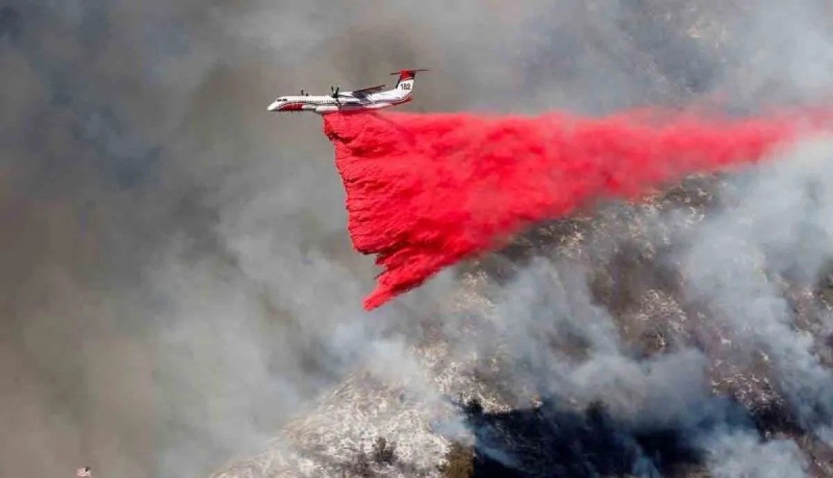 Data Terakhir Korban tewas akibat kebakaran hutan Los Angeles Menjadi 13 orang