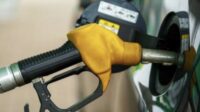 Kadin: Biodiesel B40 Jadi Tonggak Kemandirian Energi Nasional