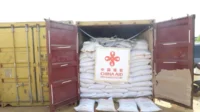 WFP butuh 404 juta dolar AS sediakan bantuan pangan di Sudan Selatan