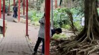 Psikolog ingatkan dampak kesehatan mental dari permainan kompetitif