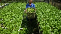 Ekonom: Pemerintah perlu pastikan alokasi anggaran ke sektor produktif