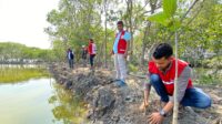 Ahli: Petambak udang di Donggala mesti didorong peduli dengan mangrove
