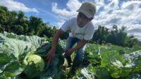Dispertan Garut gelorakan program GEC untuk melahirkan petani muda