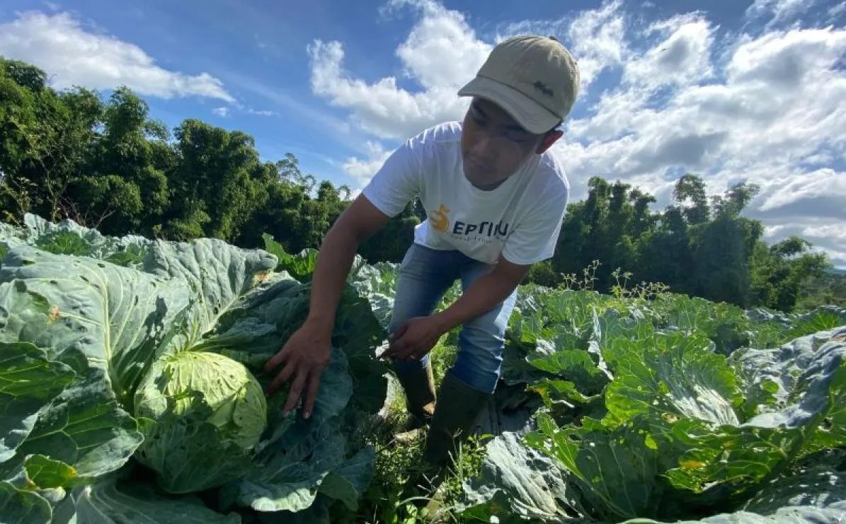 Dispertan Garut gelorakan program GEC untuk melahirkan petani muda